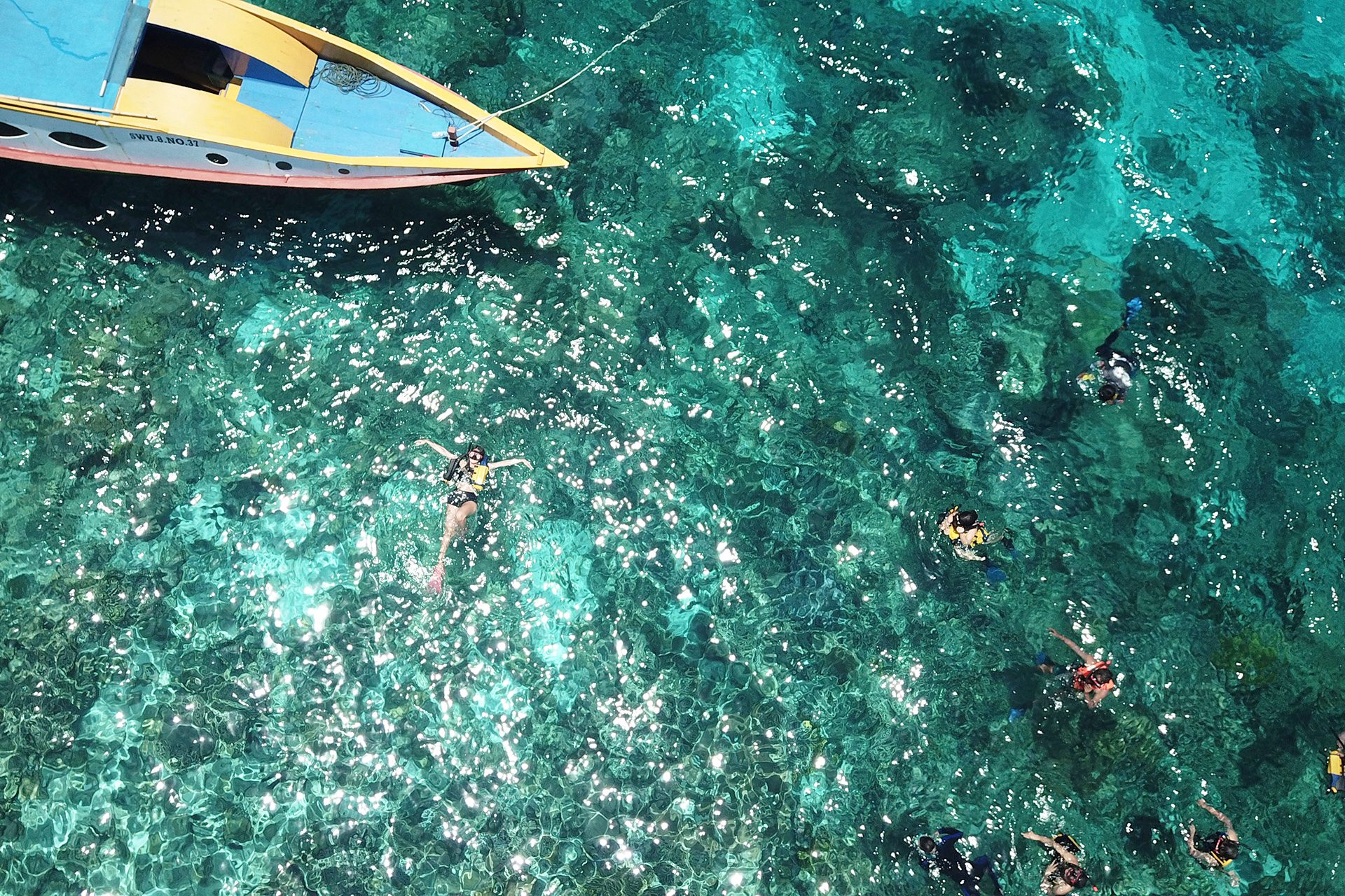 Bunaken Marine Week